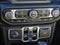 2020 Jeep Wrangler Unlimited Black and Tan